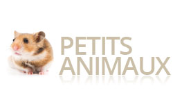 Petits animaux